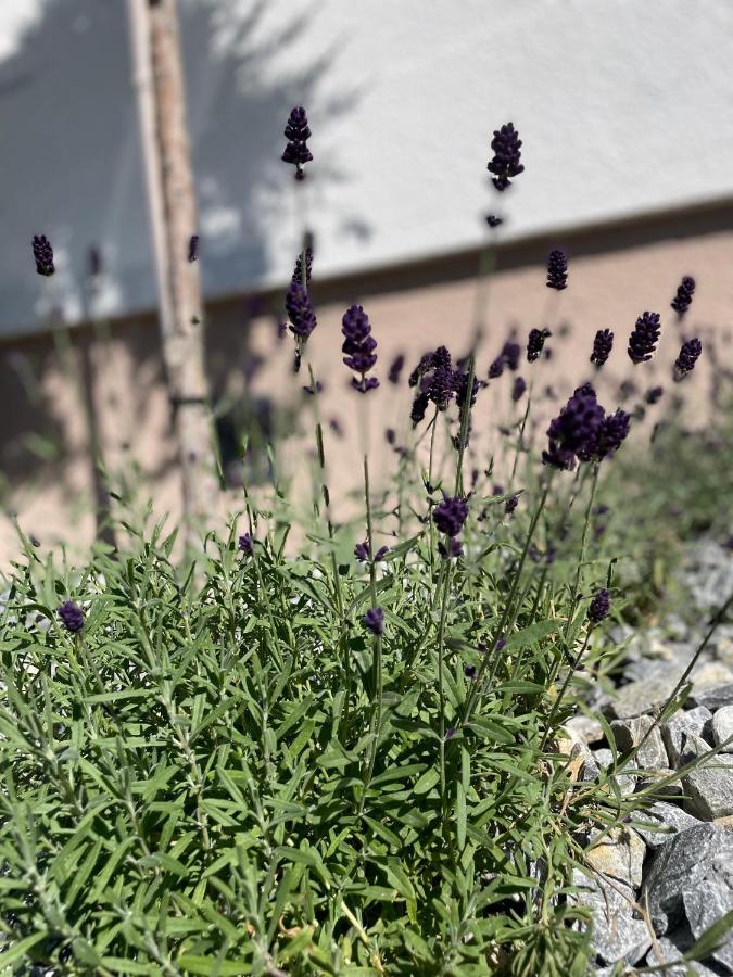 Luserblick Haus im Ennstal Εξωτερικό φωτογραφία