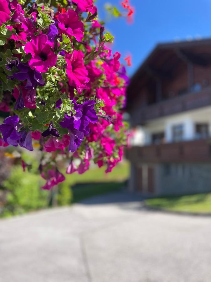 Luserblick Haus im Ennstal Εξωτερικό φωτογραφία