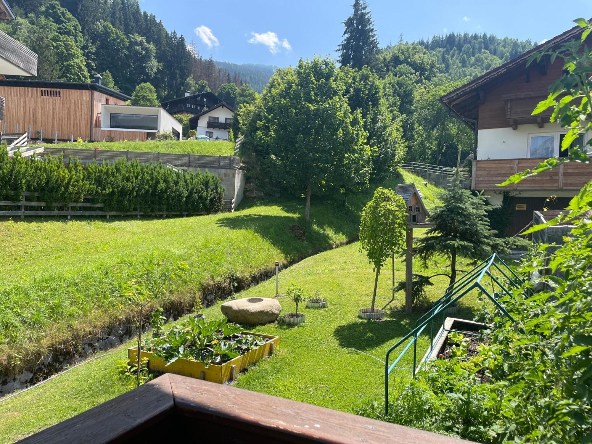Luserblick Haus im Ennstal Εξωτερικό φωτογραφία