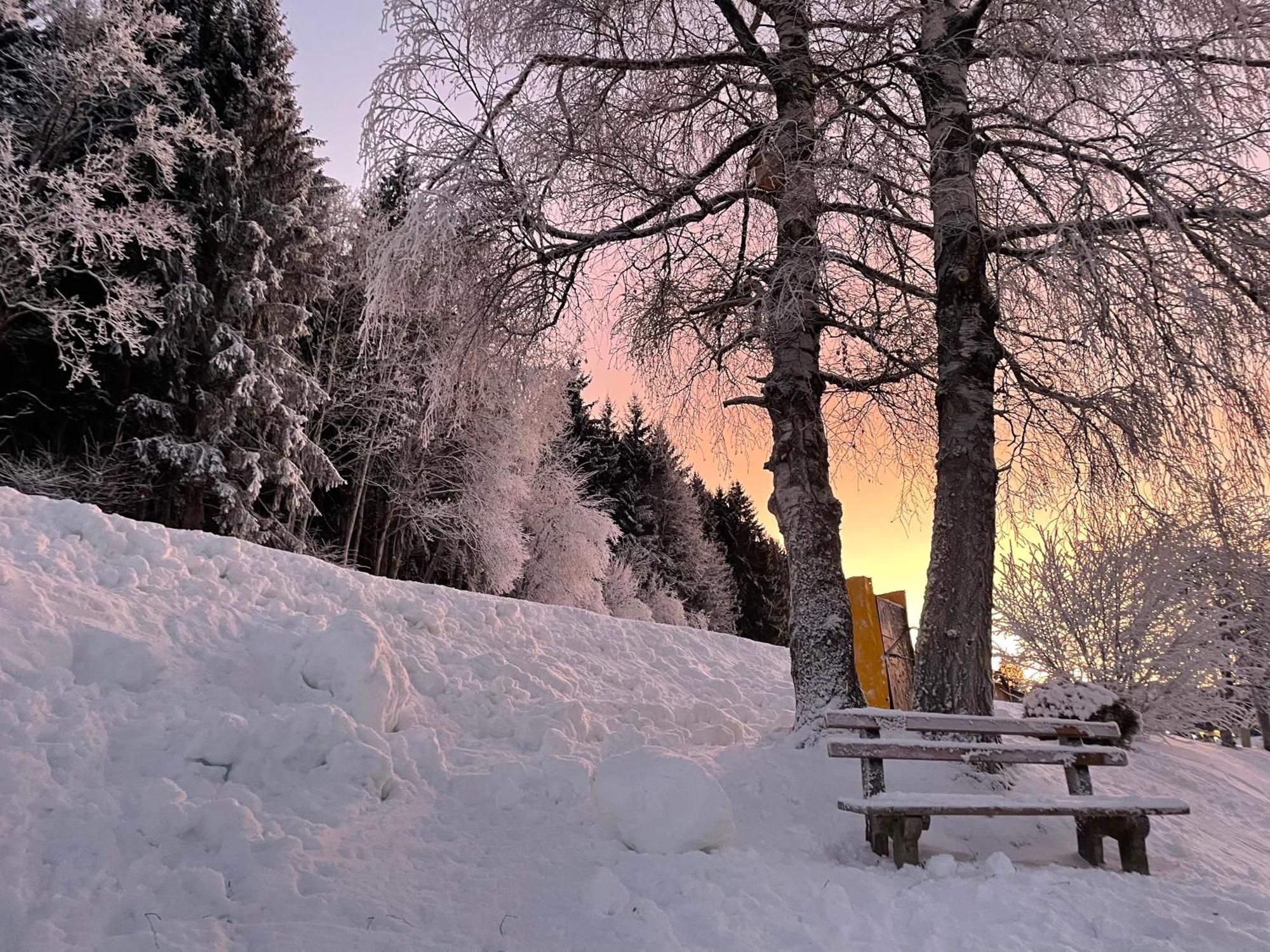 Luserblick Haus im Ennstal Εξωτερικό φωτογραφία
